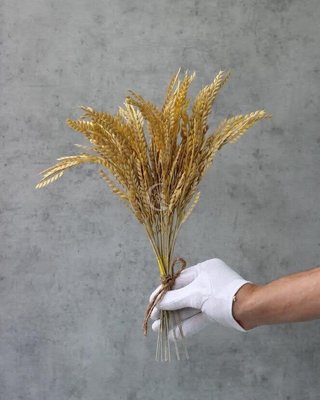 Букетик штучних колосків пшениці польова трава жовтий латекс 018-100 фото