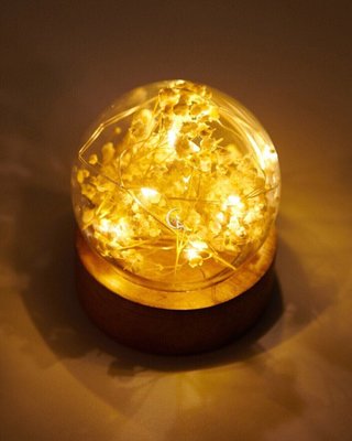 Світлодіодна led лампа нічник Світлячки дерево сухоцвіти скляна куля 003-055 фото