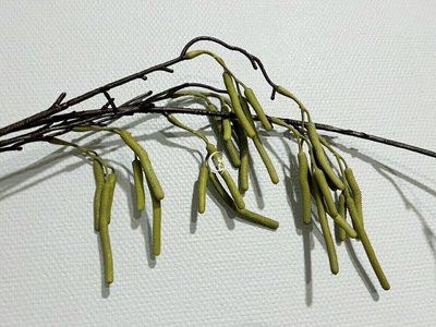 Декоративна штучна весняна гілочка з бруньками ампельна звисаюча верба з сережками 018-081 фото