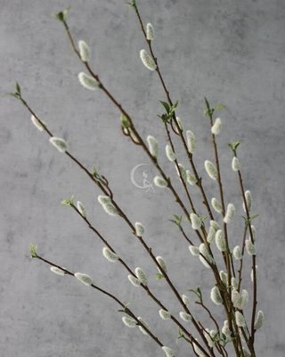 Весняна штучна декоративна гілка верби з бруньками котиками листочками 018-101 фото