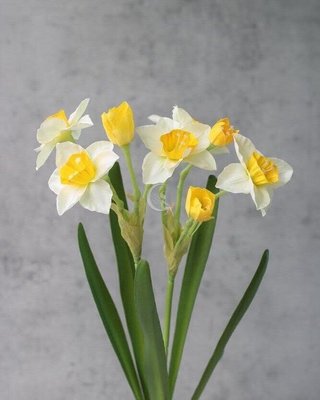 Декоративний букет штучна гілка весняних нарцисів біло-жовті 018-103 фото