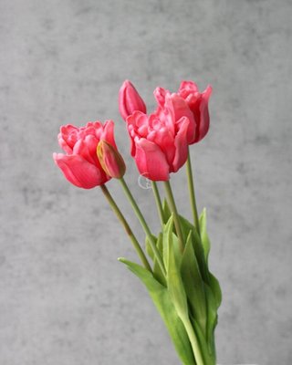 Весняний букет латексні декоративні папугові тюльпани рожеві 018-110 фото